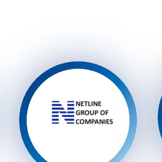 Netline Group of Companies logo from company profile